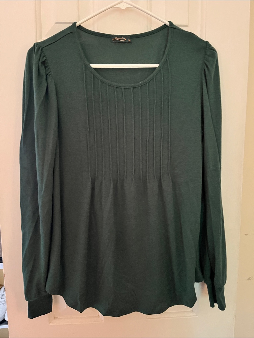 Women’s Long Sleeve Pintuck Front Top - Green